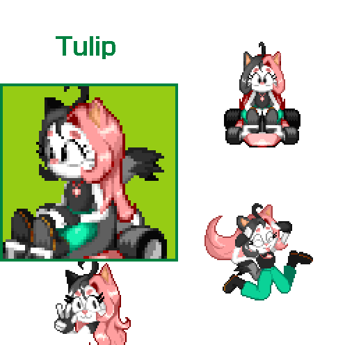 Complete turnaround playable character art for Tulip, a character made for an addon to the fangame Dr. Robotnik's Ring Racers.